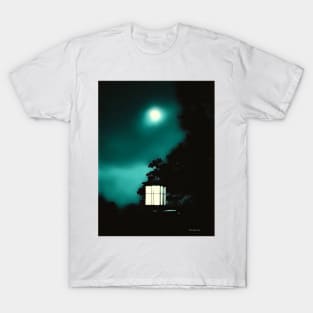 Night Lights - Graphic 2 T-Shirt